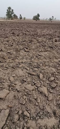 Prime Farmland Available for Long-Term Lease in Shendam, Plateau State!