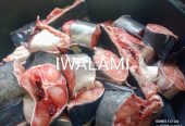 Drying of livestock