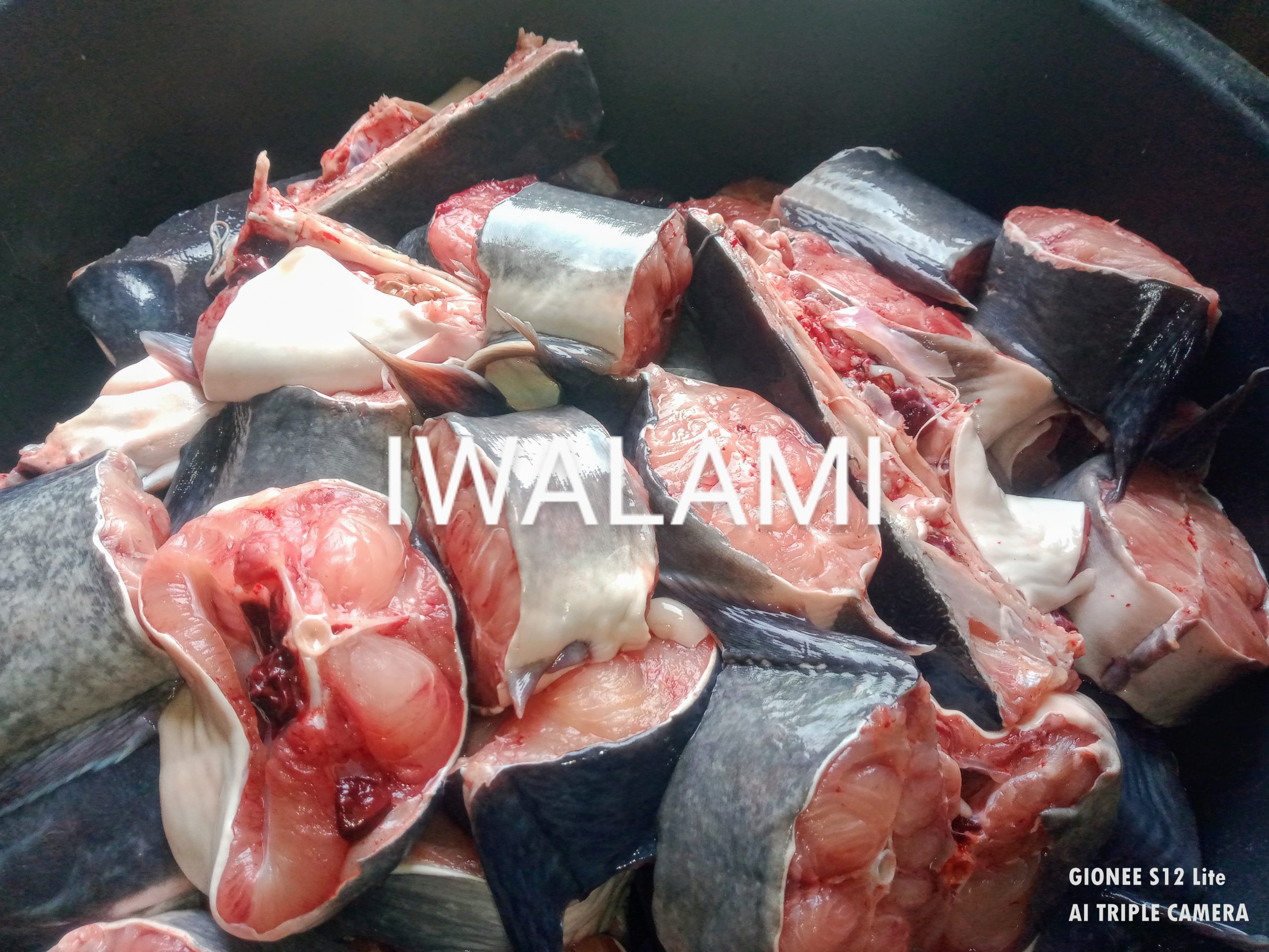 Drying of livestock