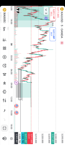 Forex mentorship