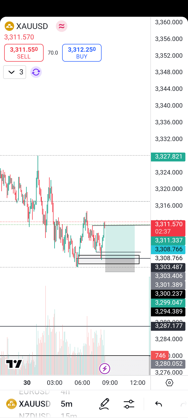 Forex mentorship