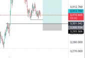 Forex mentorship