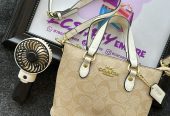 Coach luxury bag