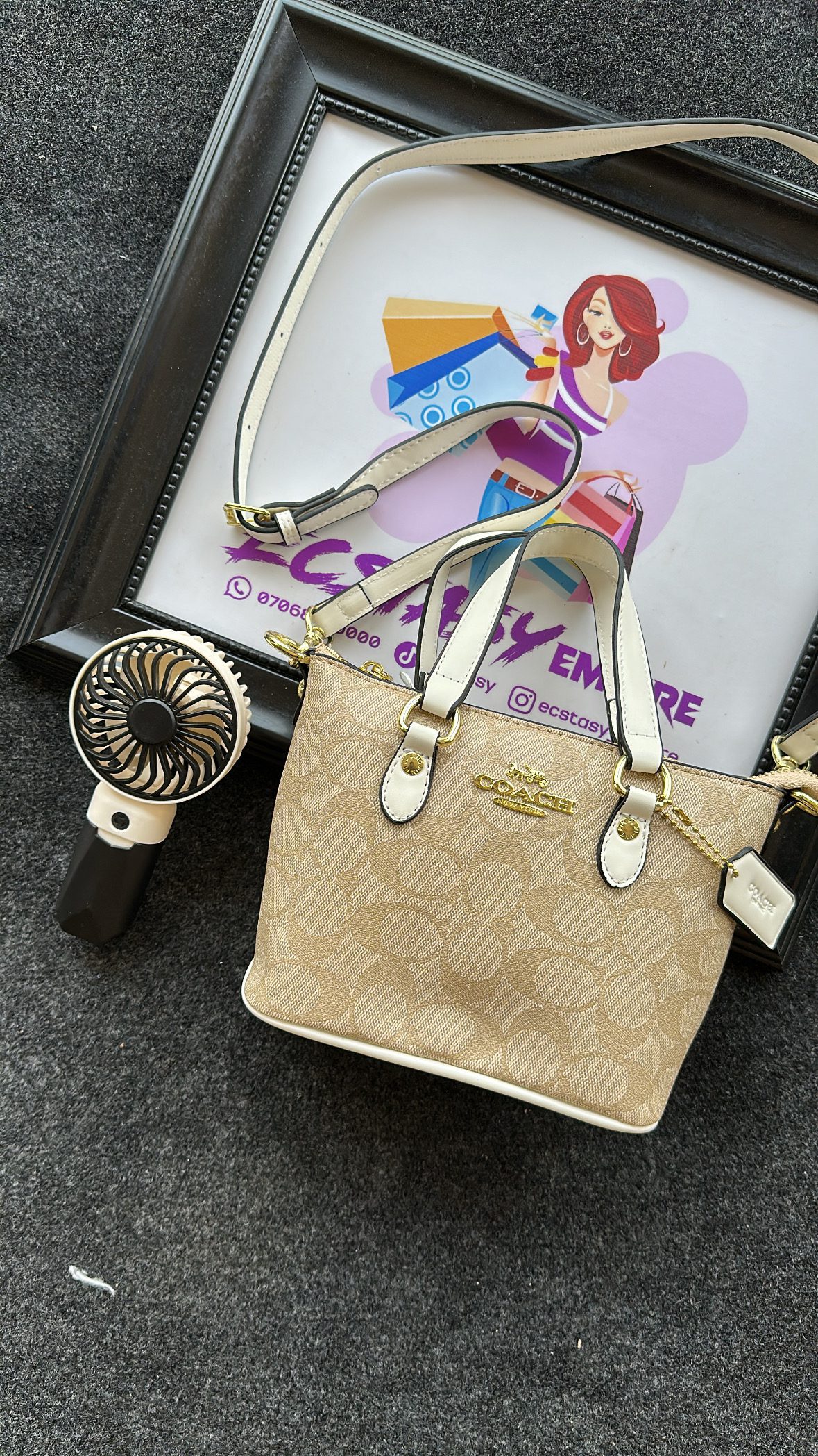 Coach luxury bag