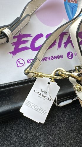 Coach luxury bag