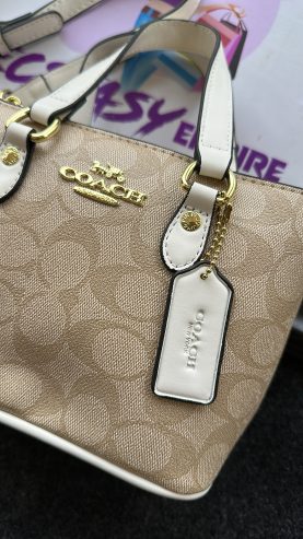 Coach luxury bag